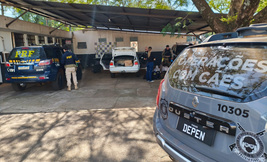 Cadela da Polícia Penal do Paraná encontra 81 kg de maconha em ação com a PRF