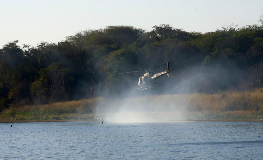 Operação Sinergia II termina com 12,4 toneladas de drogas apreendidas e 271 prisões