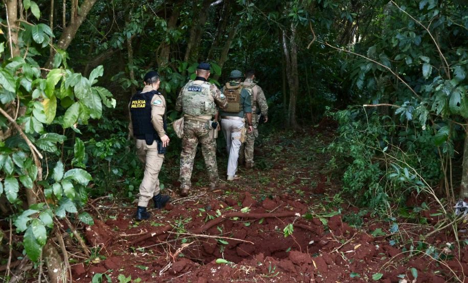 Operação Sinergia II termina com 12,4 toneladas de drogas apreendidas e 271 prisões