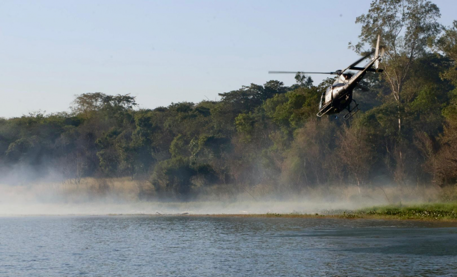 Operação Sinergia II termina com 12,4 toneladas de drogas apreendidas e 271 prisões