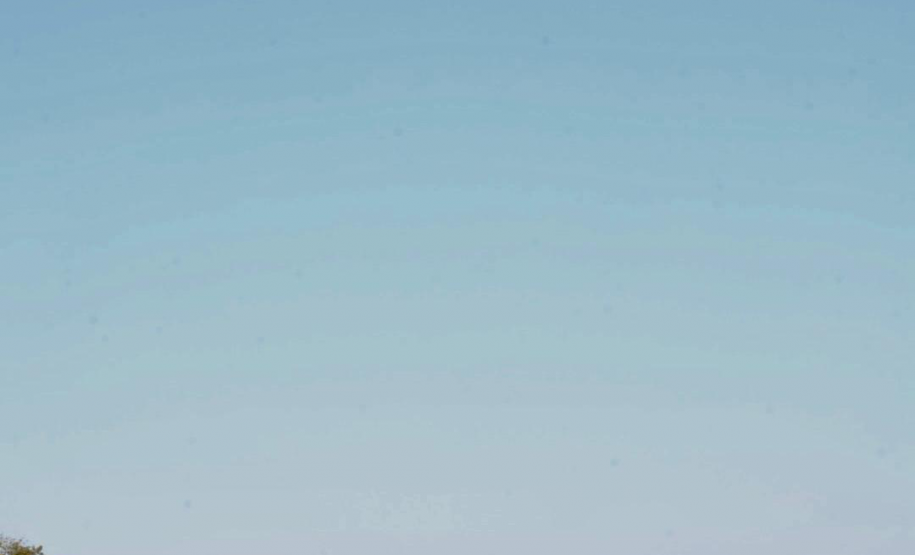 Operação Sinergia II termina com 12,4 toneladas de drogas apreendidas e 271 prisões