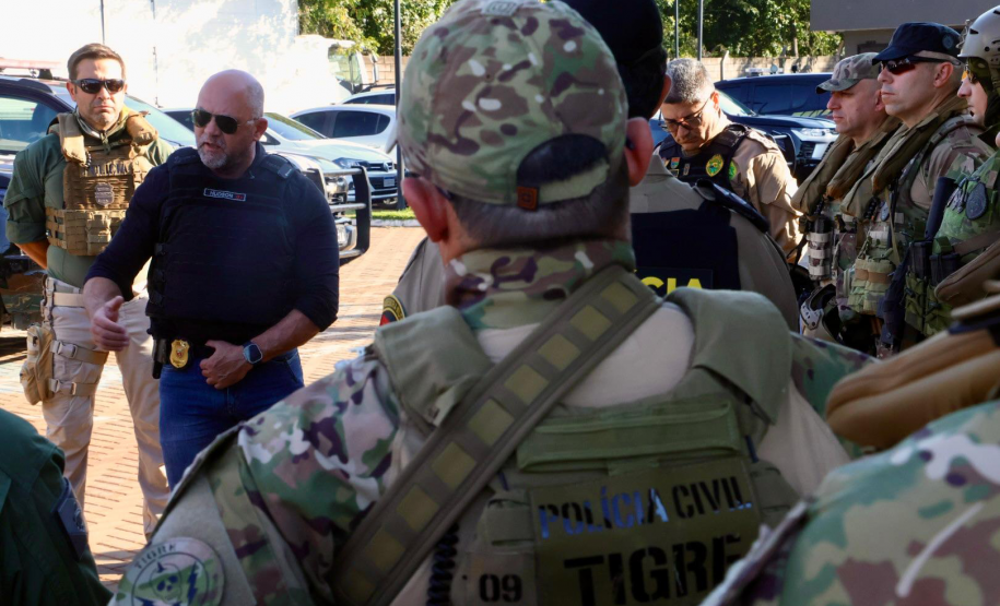 Operação Sinergia II termina com 12,4 toneladas de drogas apreendidas e 271 prisões