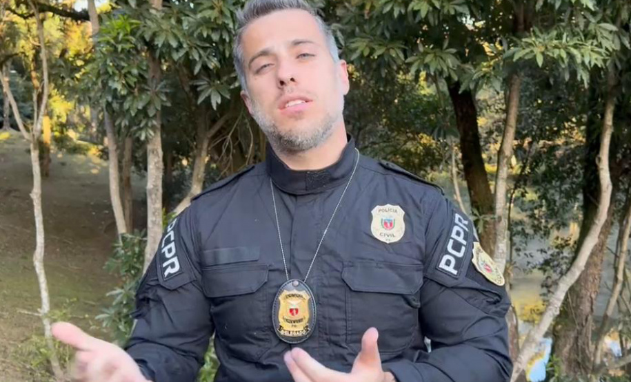 PCPR resgata cachorro da raça Yorkshire vítima de maus-tratos em Curitiba