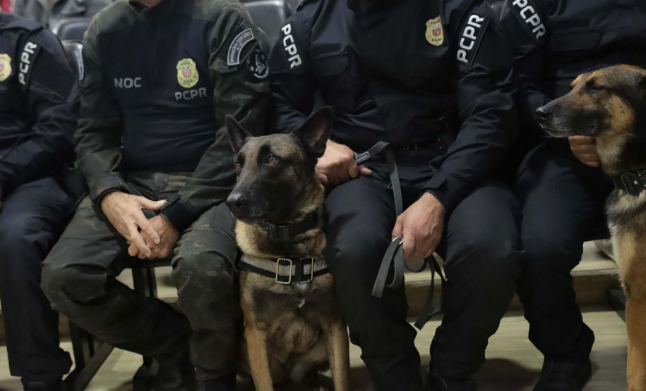Operações com cães da PCPR ajudaram a tirar 5,7 toneladas de drogas de circulação em 2025