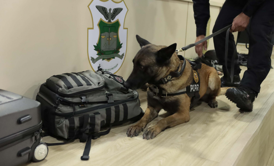 Operações com cães da PCPR ajudaram a tirar 5,7 toneladas de drogas de circulação em 2025
