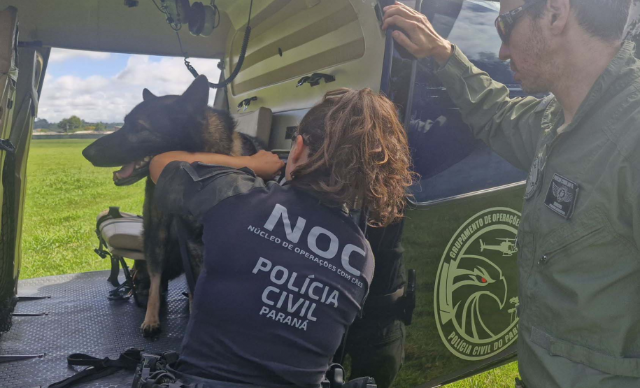 Operações com cães da PCPR ajudaram a tirar 5,7 toneladas de drogas de circulação em 2025