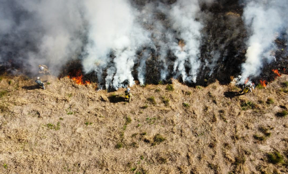 Atear fogo em lixo em terrenos baldios responde por mais de 30% dos incêndios no Paraná