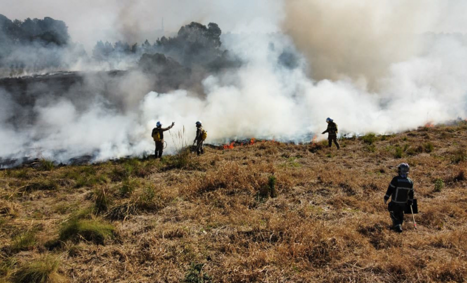 Atear fogo em lixo em terrenos baldios responde por mais de 30% dos incêndios no Paraná