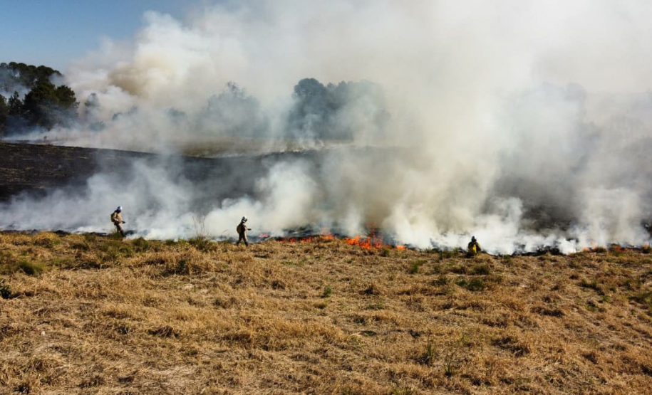 Atear fogo em lixo em terrenos baldios responde por mais de 30% dos incêndios no Paraná