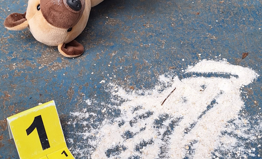 Perícia Mirim: Polícia Científica ensina crianças como desvendar crimes ambientais