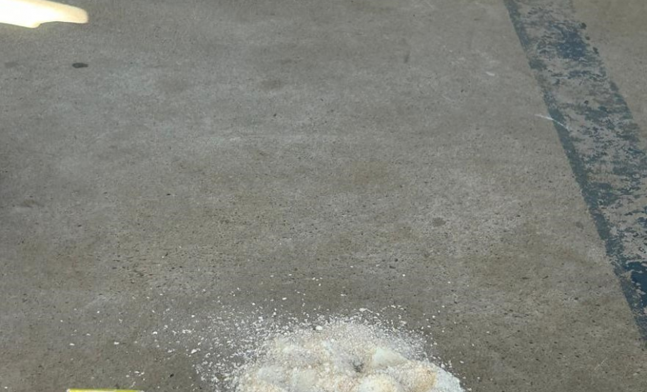 Perícia Mirim: Polícia Científica ensina crianças como desvendar crimes ambientais