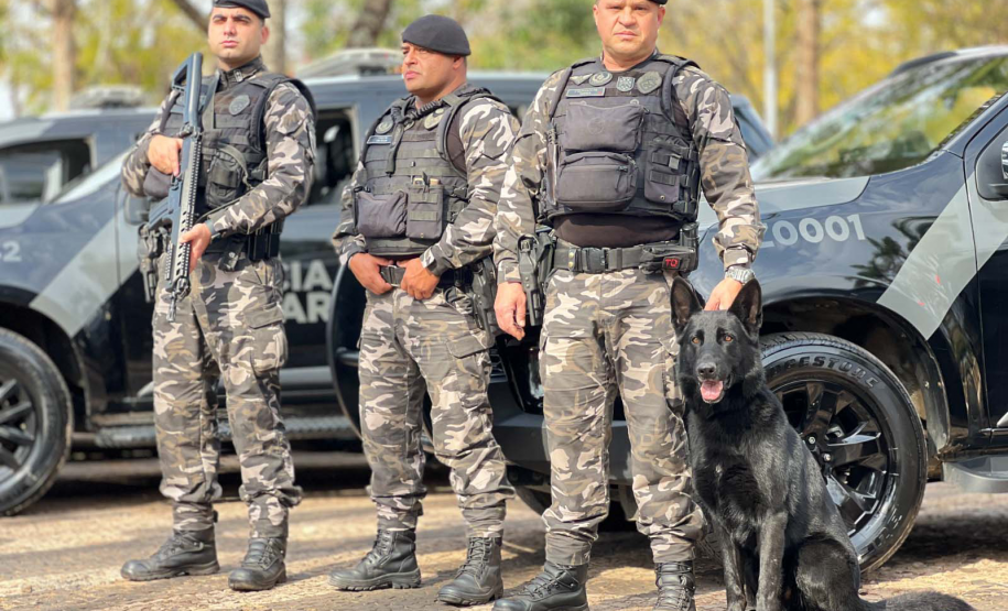 1ª Cãocorrida da CIOC celebra sucesso de cães da PM no combate ao crime