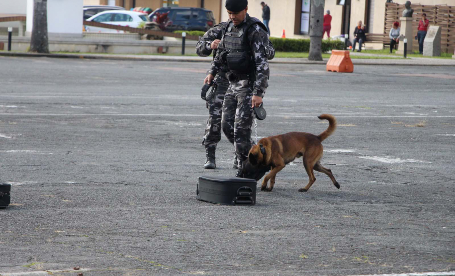 1ª Cãocorrida da CIOC celebra sucesso de cães da PM no combate ao crime