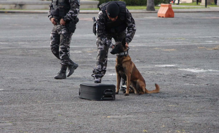 1ª Cãocorrida da CIOC celebra sucesso de cães da PM no combate ao crime