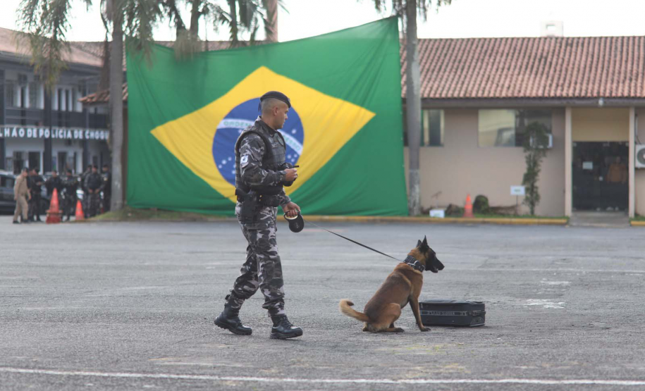 1ª Cãocorrida da CIOC celebra sucesso de cães da PM no combate ao crime