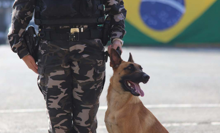 1ª Cãocorrida da CIOC celebra sucesso de cães da PM no combate ao crime
