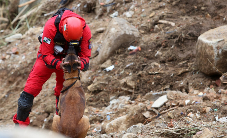 Cães de salvamento e resgate