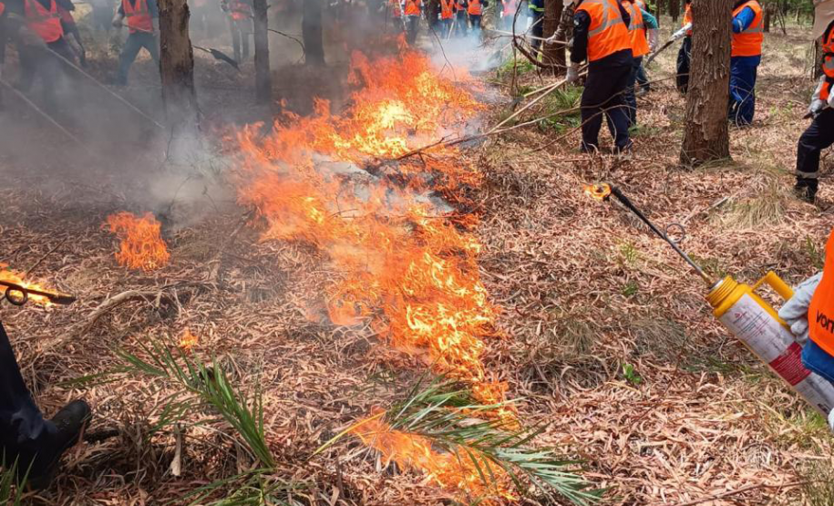 Incêndios florestais caem 50% em agosto no Paraná, mas tempo seco em setembro aumenta o risco