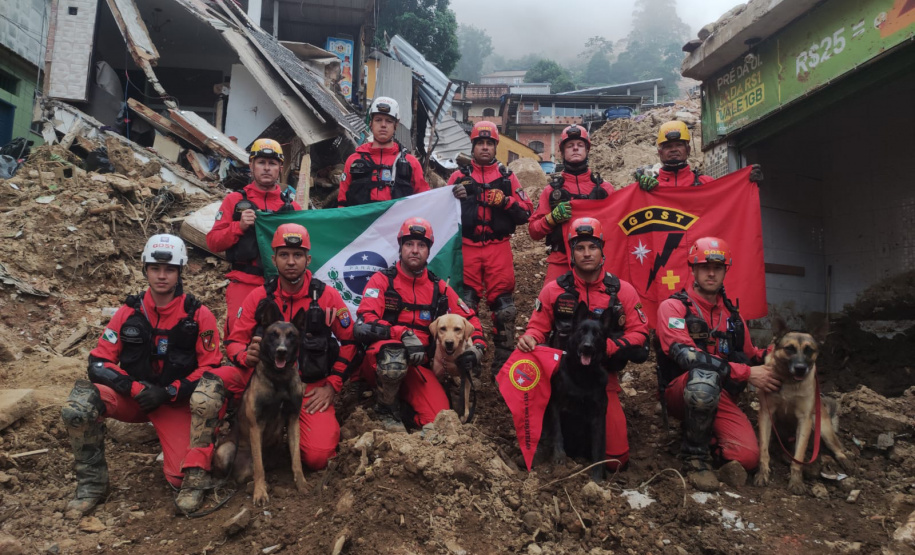 Cães de salvamento e resgate