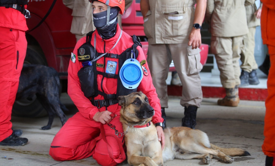 Cães de salvamento e resgate