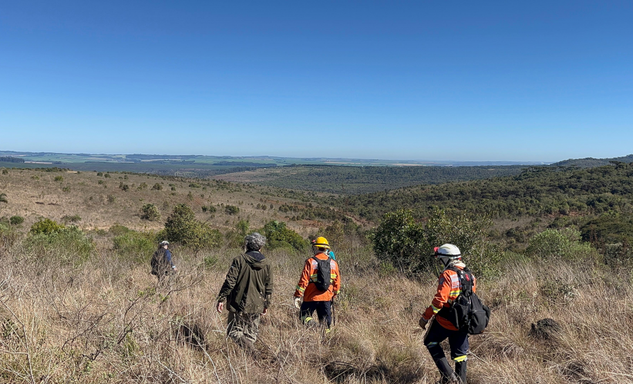 Incêndios florestais caem 50% em agosto no Paraná, mas tempo seco em setembro aumenta o risco
