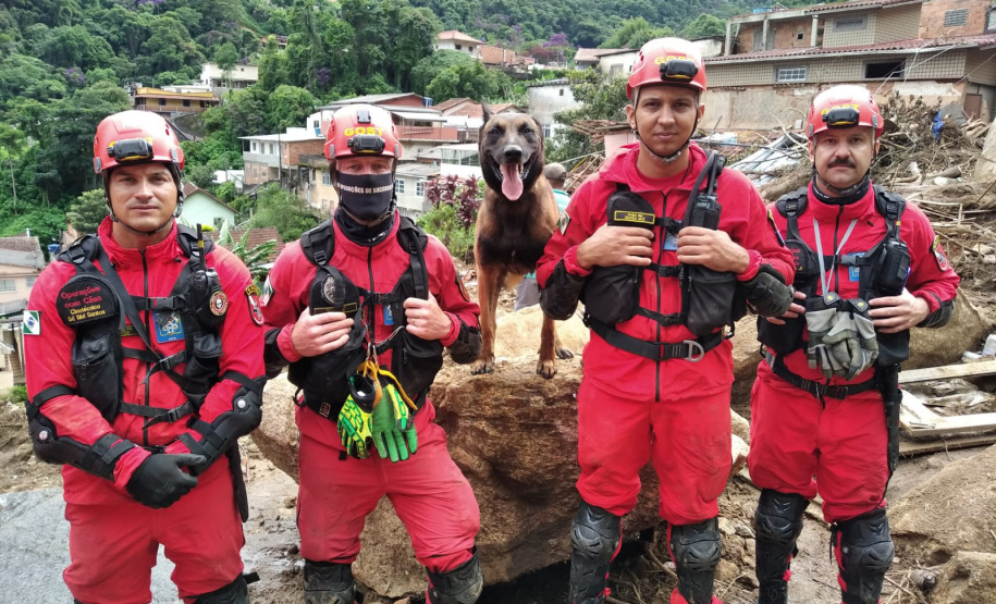 Cães de salvamento e resgate