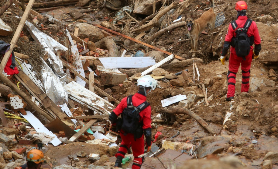 Cães de salvamento e resgate