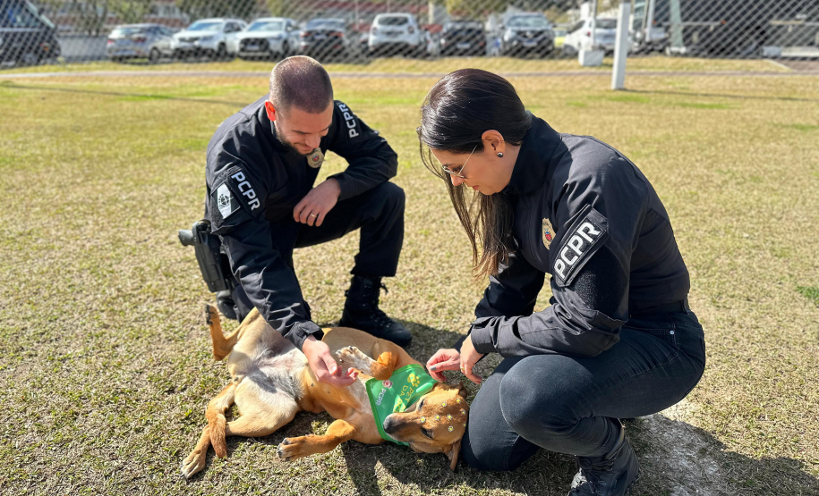 Contagem regressiva: inscrições estão abertas para o último lote da XVIII Corrida da PCPR