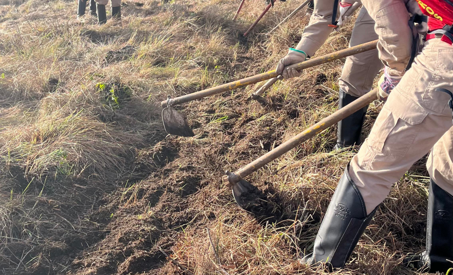 CBMPR intensifica treinamentos de Manejo Integrado do Fogo contra incêndios florestais