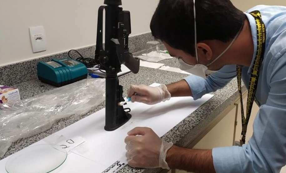 Polícia Científica do Paraná recebe reconhecimento internacional por pioneirismo na Geologia Forense