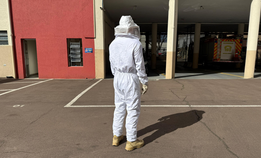 Com a primavera, Bombeiros alertam sobre cuidados para evitar ataques de abelhas