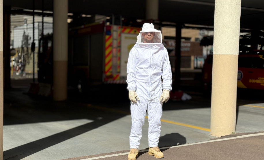 Com a primavera, Bombeiros alertam sobre cuidados para evitar ataques de abelhas
