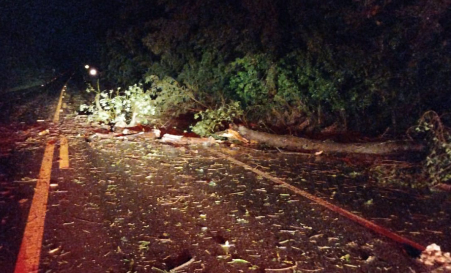 Corpo de Bombeiros do Paraná alerta sobre cuidados diante de fortes chuvas e ventos