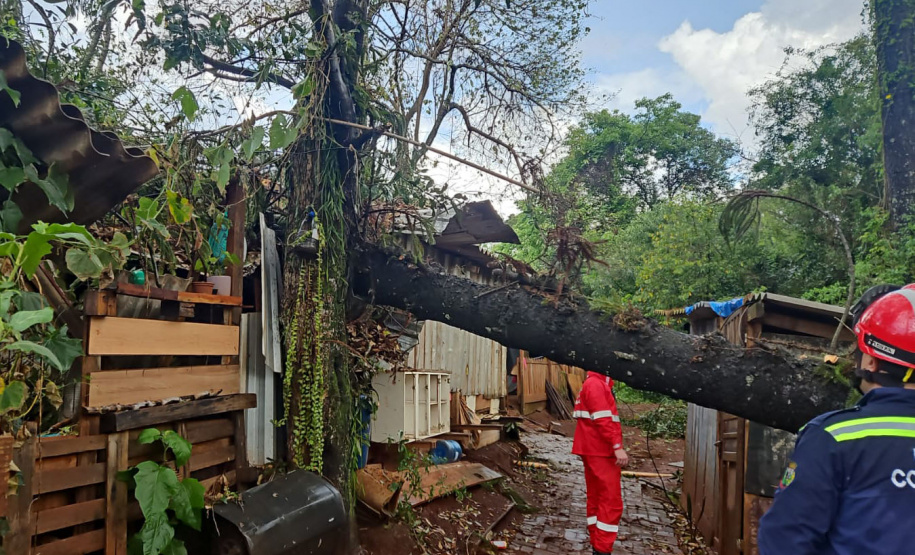 Corpo de Bombeiros do Paraná alerta sobre cuidados diante de fortes chuvas e ventos