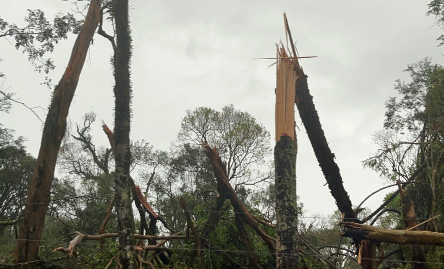 Corpo de Bombeiros do Paraná alerta sobre cuidados diante de fortes chuvas e ventos