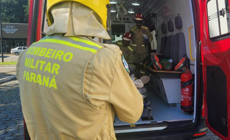 Corpo de Bombeiros do Paraná registra 300 ataques de cachorros desde o início do ano