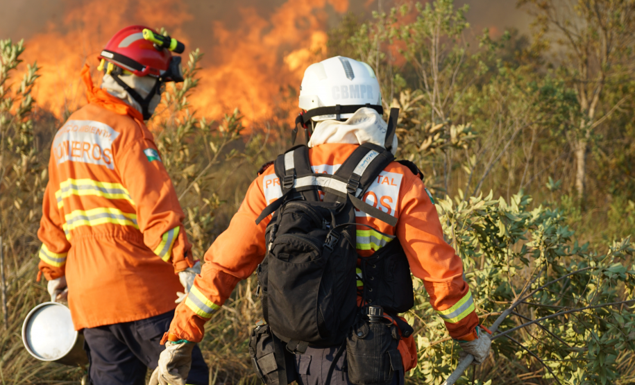 Bombeira paranaense participa de curso de referência sobre prevenção e combate a incêndios florestais no Chile