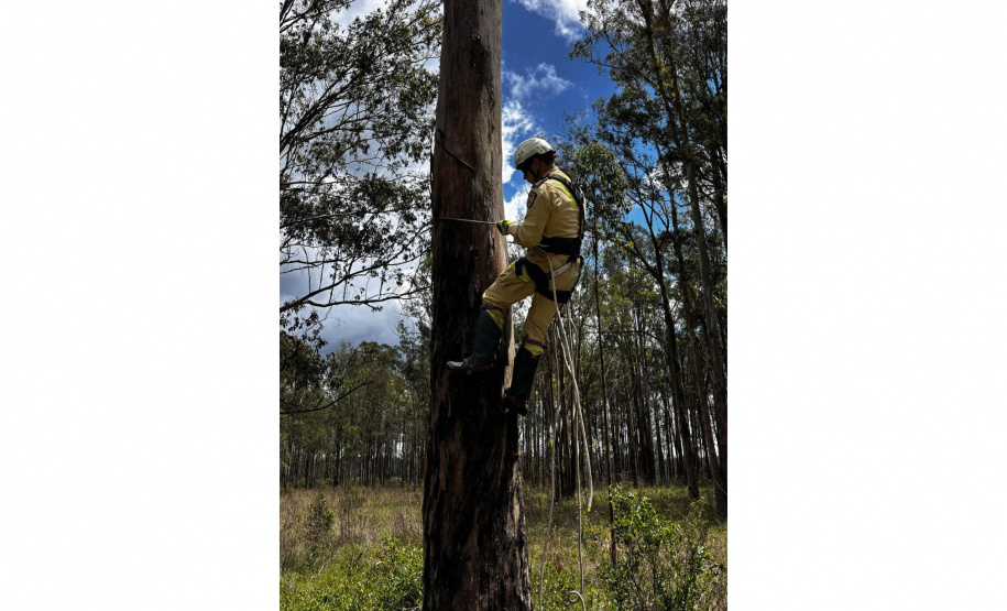 Bombeiros iniciam treinamento de Força-Tarefa que destaca capacidade de resposta do Paraná