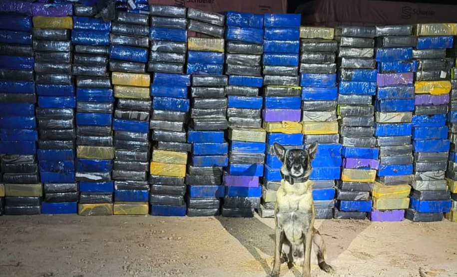 Em um ano, Companhia com Cães da PMPR causa prejuízo de R$ 300 milhões ao crime