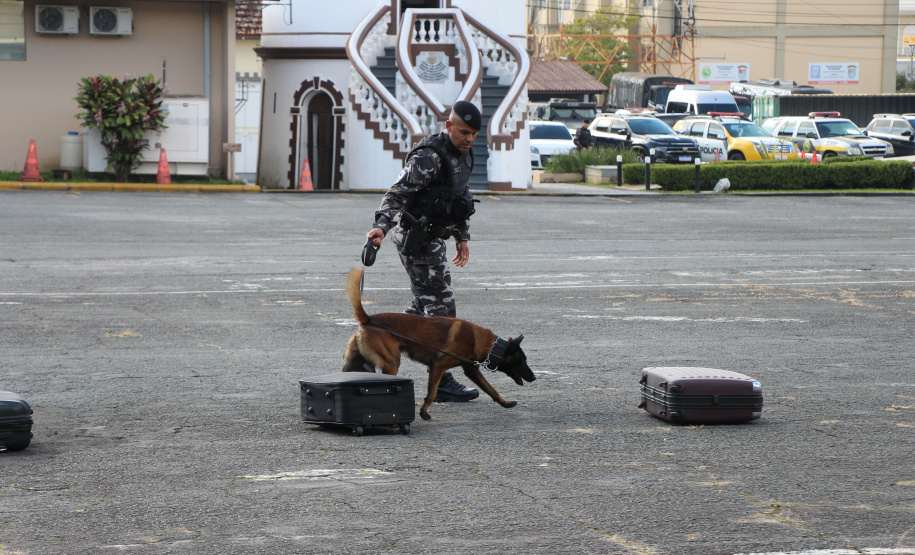 Em um ano, Companhia com Cães da PMPR causa prejuízo de R$ 300 milhões ao crime