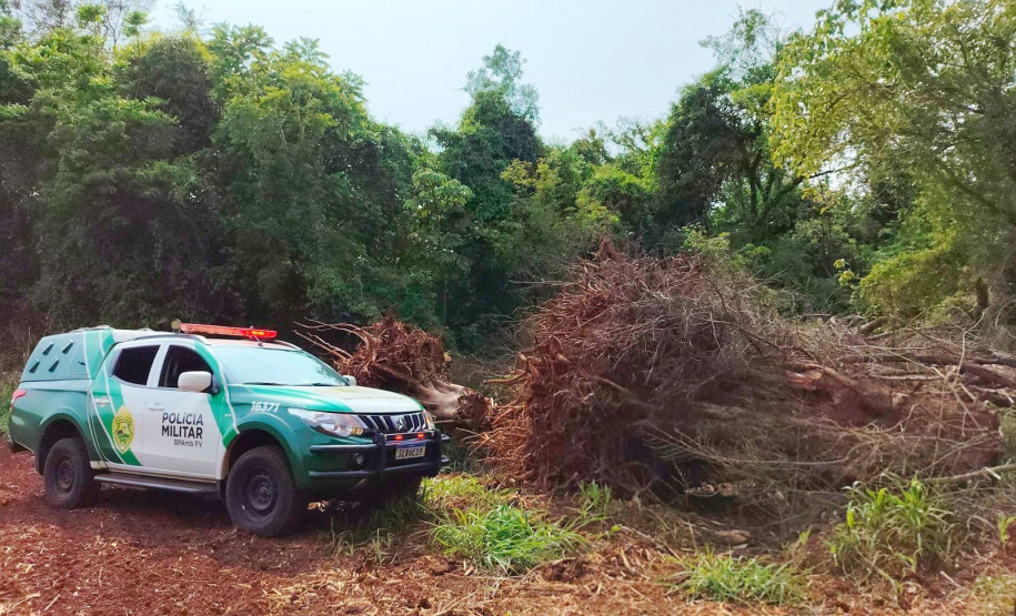 Operação Mata Atlântica em Pé: PMPR aplica mais de R$ 19 milhões em multas