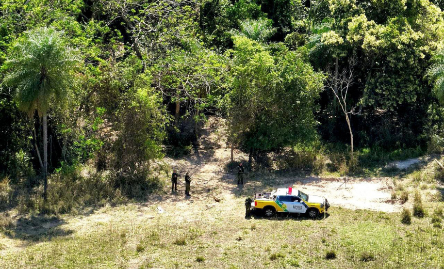 Operação Mata Atlântica em Pé: PMPR aplica mais de R$ 19 milhões em multas