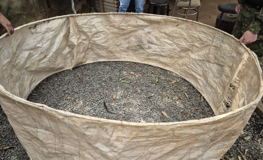 PMPR resgata 24 galos mutilados em ação contra rinha e maus-tratos