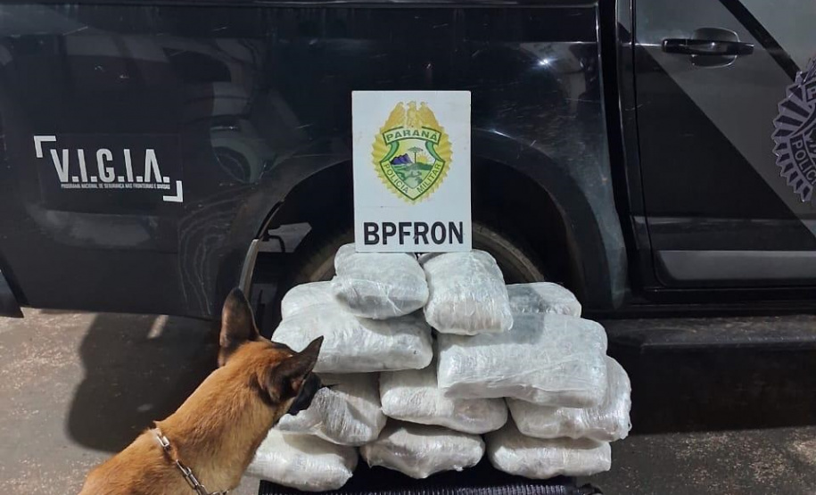 PMPR localiza 16 kg de maconha em ônibus rodoviário e prende passageiro
