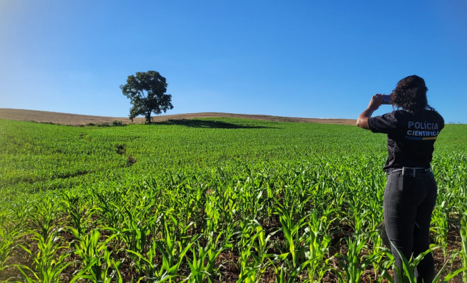 Ciência e perícia: como a Polícia Científica atua em crimes contra o meio ambiente