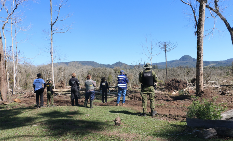 Ciência e perícia: como a Polícia Científica atua em crimes contra o meio ambiente