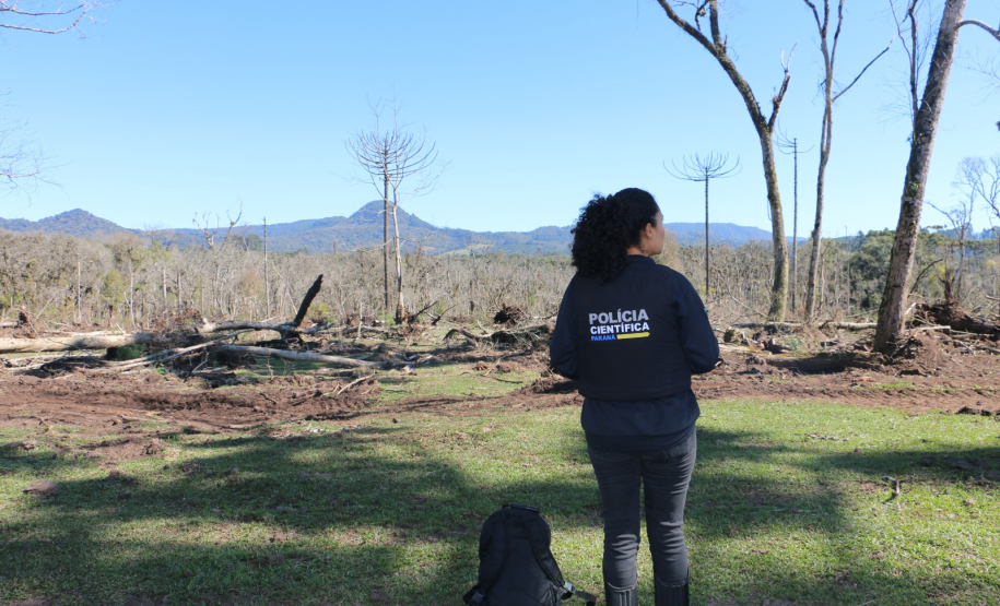 Ciência e perícia: como a Polícia Científica atua em crimes contra o meio ambiente