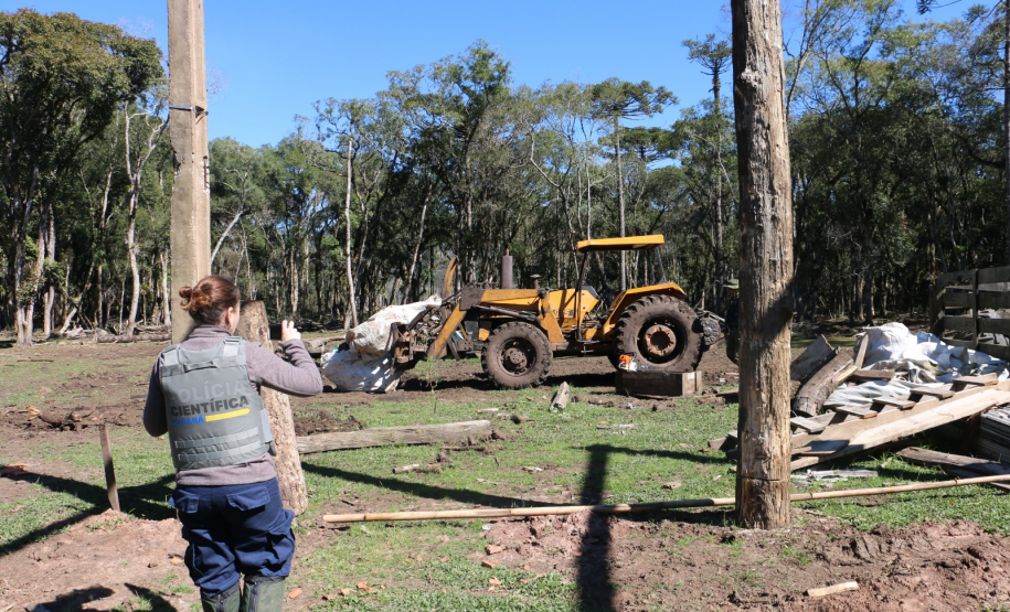 Ciência e perícia: como a Polícia Científica atua em crimes contra o meio ambiente