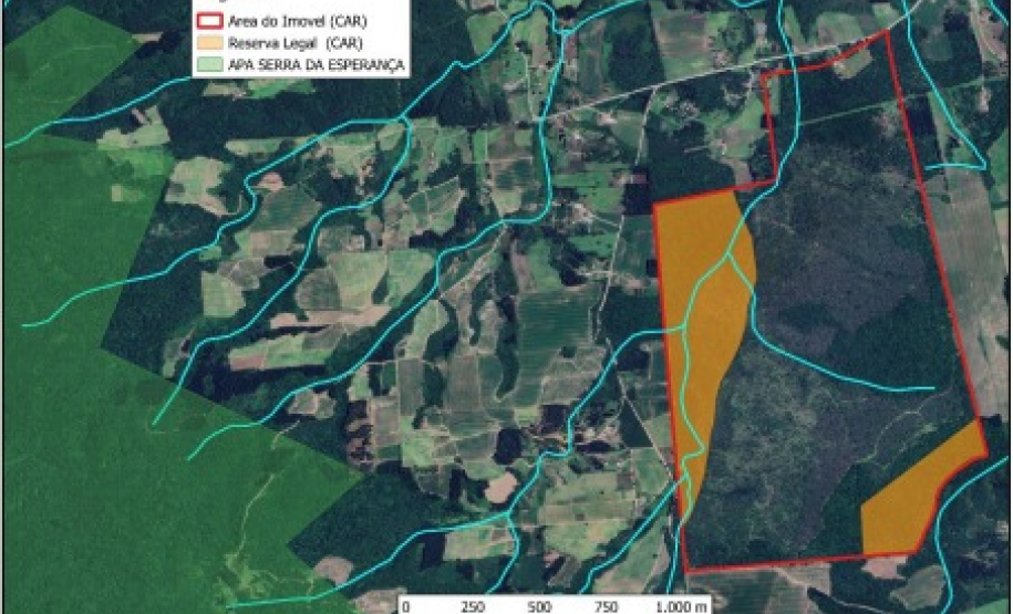 Ciência e perícia: como a Polícia Científica atua em crimes contra o meio ambiente