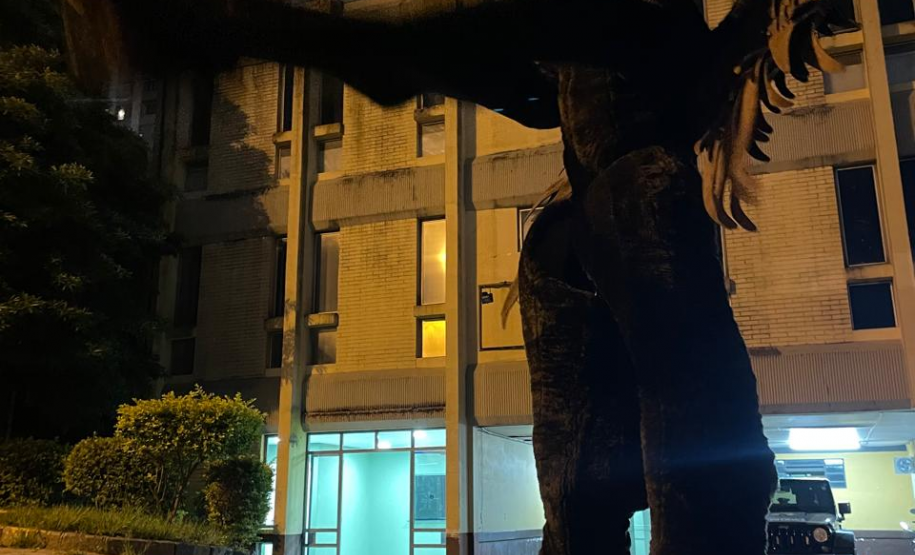 Museu Paranaense de Ciências Forenses recebe sessões do Festival DJANHO! 2025